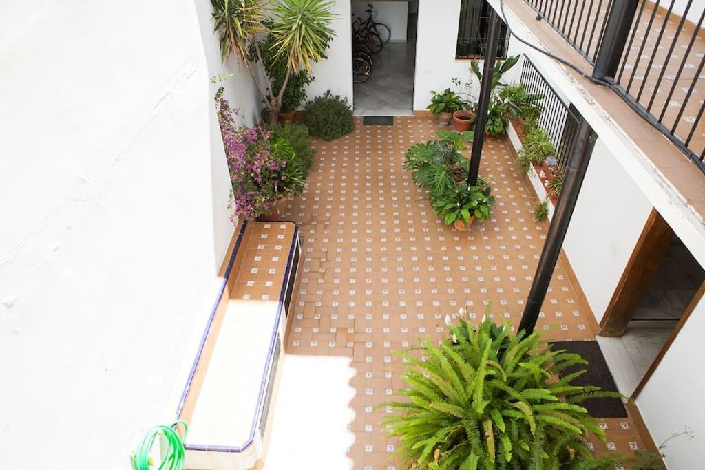 Appartement Cozy In The Center Of